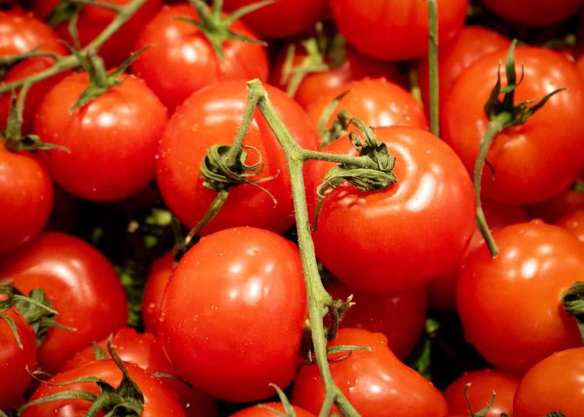 Tomato